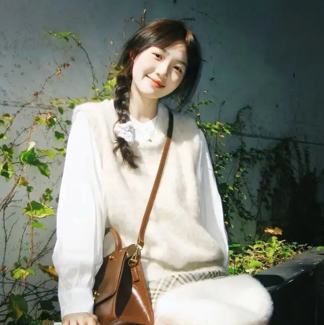 山河换婿和离后我君临天下